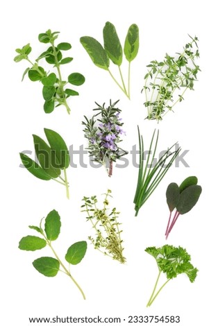 Herb leaf varieties of rosemary, parsley, oregano, lemon balm, chives, sage and thyme isolated over white background.