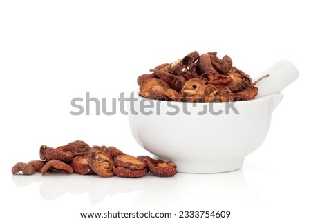 Dried hawthorn fruit used in chinese herbal medicine in a porcelain mortar with pestle and scattered, isolated over white background. Shan zha. Fructus crataegi.