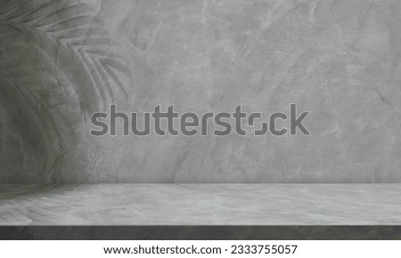 Empty Cement wall room Background and Grey floor with shadow leaves well advertising display product background and text present on free space Backdrop studio Background   