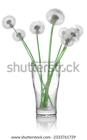 Dandelions in a glass isolated on white background