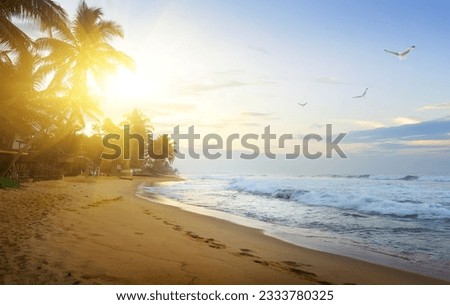 Coast of Indian ocean at sunset, Sri Lanka