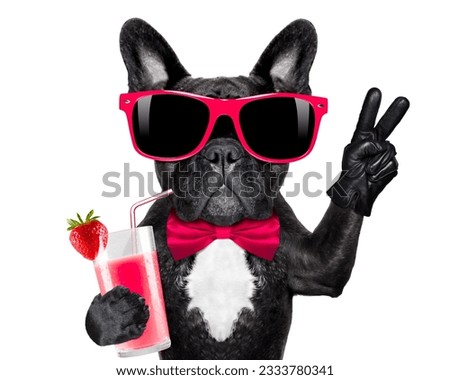 french bulldog dog with cocktail milkshake smoothie and funny glasses with peace victory fingers , isolated on white background
