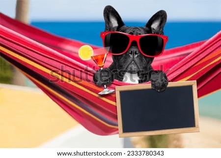 french bulldog dog relaxing on a fancy red hammock with sunglasses and martini cocktail drink, on summer vacation holidays at the beach