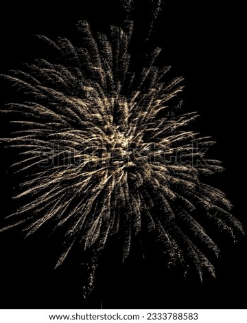 Fireworks celebration on the 4th of July
