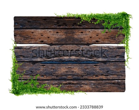 Dark brown antique plank frame background with tropical leaves and climbing vines on the edge of the plank.
