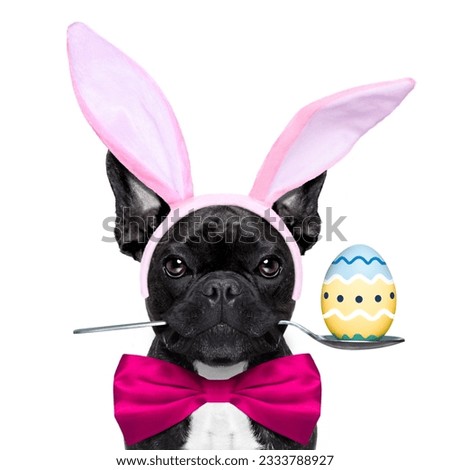 french bulldog dog with spoon in mouth with easter egg and easter bunny ears ,holding blank blackboard or placard, isolated on white background