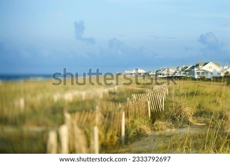 Beachfront houses separated from ocean by natural area.
