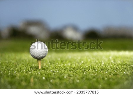 Golf ball and tee on golf course.