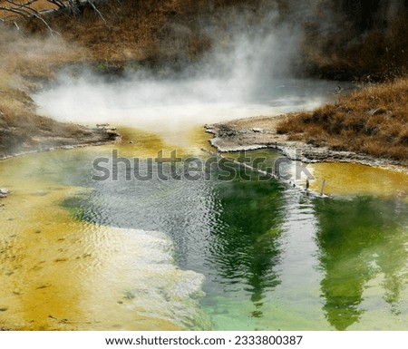 Colorful mineral deposits in geyser basin at Yellowstone National Park, Wyoming.