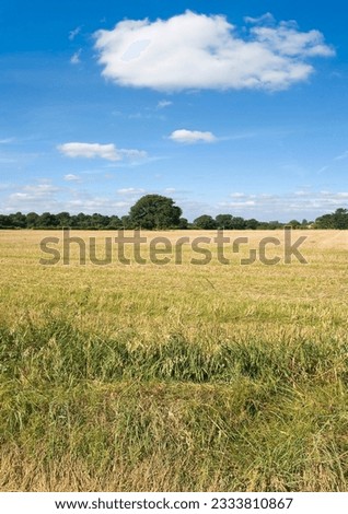farmland empty cornfield after harvesting of arable crops