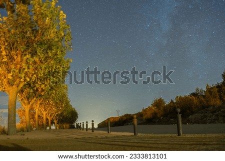 Image in which we can see the milky way some trees and a road at night from Alquezar, Huesca. Spain