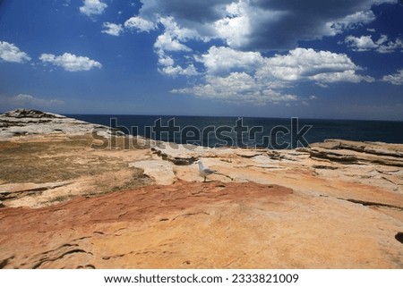 Coastal landscape east coast of Australia