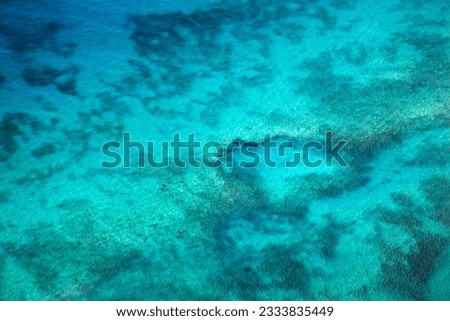 View through clear water to ocean floor.