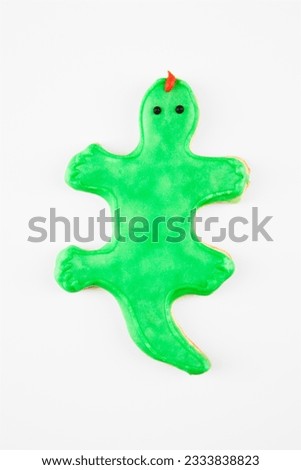 Sugar cookie in shape of lizard with decorative icing.