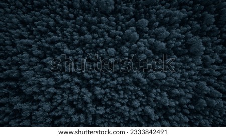 Aerial view of a dark  winter snow-covered pine forest. Winter forest texture. Aerial view. Aerial drone view of a winter landscape. Snow covered forest. Aerial photography winter texture background
