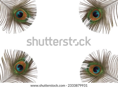 Iridescent eyes of four peacock feathers set at each of the corners of the frame. Set against a white background.