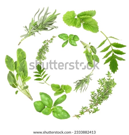 Herb garlands of basil, variegated sage, lavender, lemon balm, valerian -vallium substitue- and common thyme, over white background.