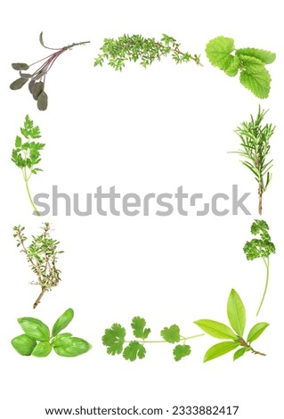 Herb leaf selection forming a frame of fresh organic basil, silver thyme, flat leaved parsley, purple sage, common thyme, lemon balm, rosemary, curly parsley, bay and coriander. Starting bottom left