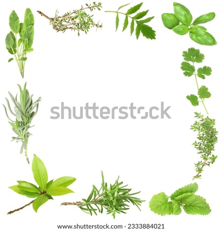 Organic herb border of bay leaves, lavender, sage, golden thyme, valerian, basil, coriander, common thyme, lemon balm, and rosemary. -Clockwise order- Set against a white background.