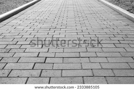 Gray pavement. The long road of the park is in gray color, colorless. Royalty-Free Stock Photo #2333885105