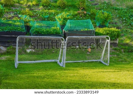Beautiful view of private garden with children's football goals and strawberry strawberry pallets collar with bird net. Sweden.