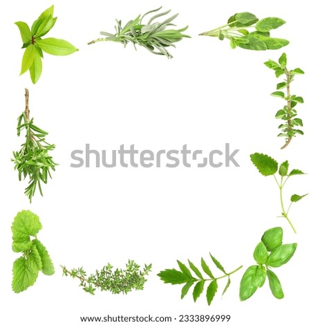 Herb leaf border over white background.