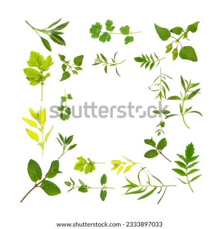 Herb leaf selection forming a border, over white background.