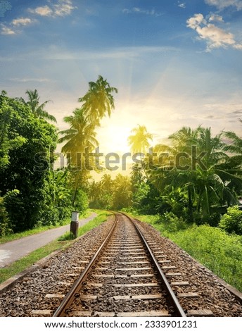 Sundown over railroad in jungle of Sri Lanka