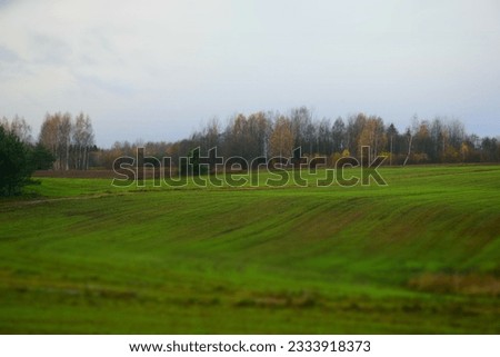 Autumn Rural Landscape in Latvia. Stock Photo