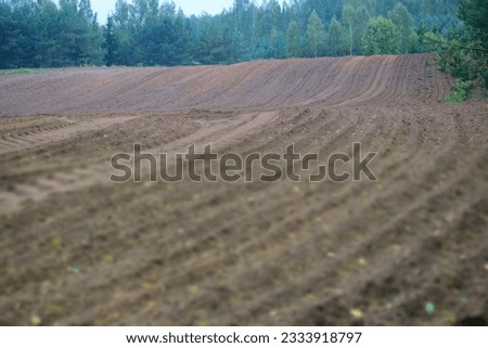 Arable land for sowing crops in Europe. Stock Photo 