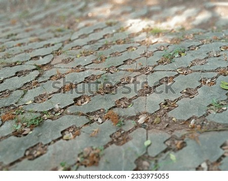 texture of pedestrian paving block with grass Royalty-Free Stock Photo #2333975055