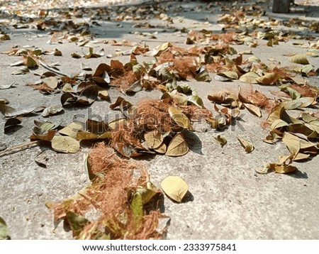 old leaf on ground surface Royalty-Free Stock Photo #2333975841