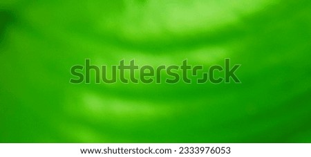 Green Texture Leaves With Bokeh, Blurred Nature Background