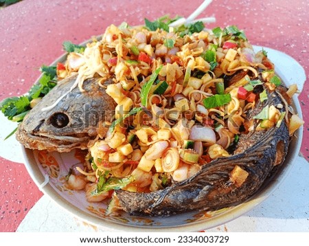 Snakehead fish wading through the garden. Big and delicious. Royalty-Free Stock Photo #2334003729