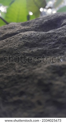 Brown old stone texture background. Photo shot in the forest