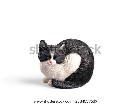 Miniature black and white cat isolated on white