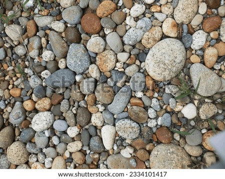beautiful kind of stone in backyard 