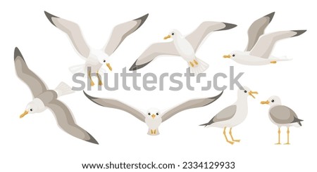 Flying seagulls. Bird in flight isolated on a white background.  Soaring seabird. Vector illustration in a flat style. Royalty-Free Stock Photo #2334129933