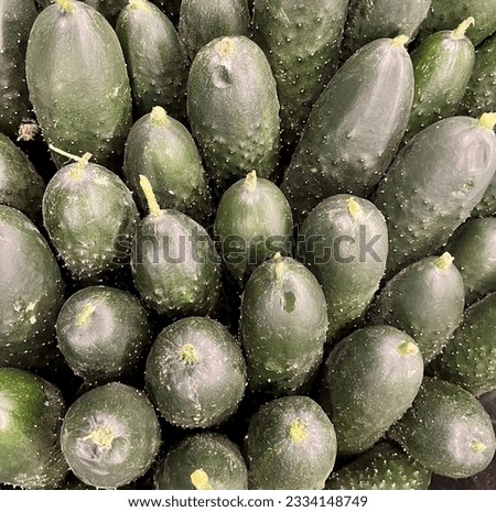 Macro Photo food cucumbers. Texture pattern background green cucumbers. Image fresh green cucumbers Royalty-Free Stock Photo #2334148749
