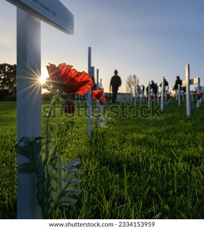 Sun stars shining through white crosses and red poppies. Words on white cross read 29-10-1918-WWI.  Anzac Day commemoration. Vertical format.  Royalty-Free Stock Photo #2334153959
