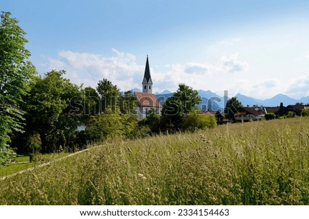  a scenic alpine view with lush green alpine meadows and an old church in the alpine village Schwangau in the Bavarian Alps on a summer day (Allgaeu, Bavaria, Germany)	
                               Royalty-Free Stock Photo #2334154463
