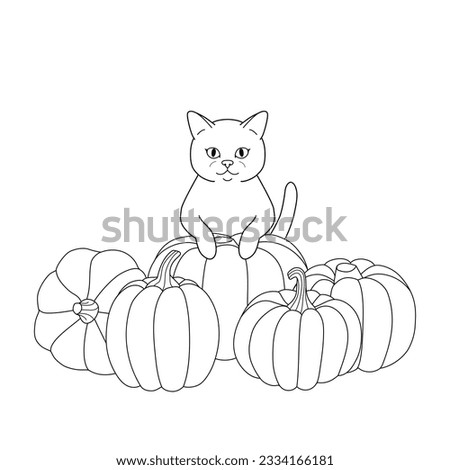 Cute coloring book with a cat and pumpkins. Autumn atmosphere. Simple vector illustration.