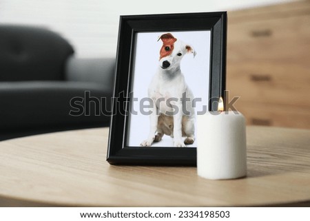 Frame with picture of dog and burning candle on wooden table indoors. Pet funeral