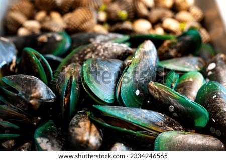 Mussels and cockles on the stall Advertising backgrounds and wallpapers in cooking and seafood sales. Actual images in decorating ideas