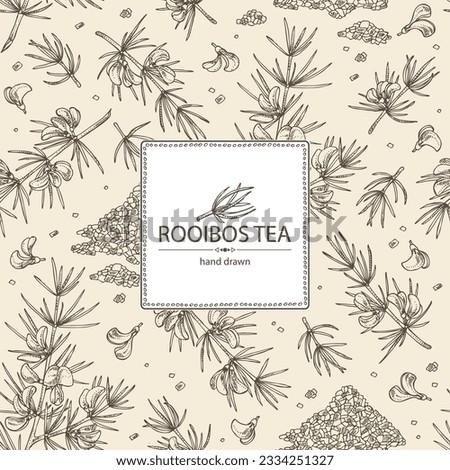 Background rooibos: aspalathus linearis plant, rooibos leaves, aspalathus flowers and rooibos tea. Aspalathus linearis. Vector hand drawn illustration.
