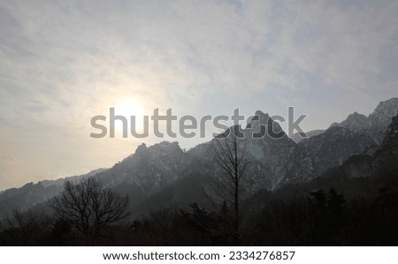 The view of Seoraksan National Park, South Korea at sunset. Low angle view of the mountain of Seoraksan with the trees in the foreground during the winter season. Travel and nature scene.