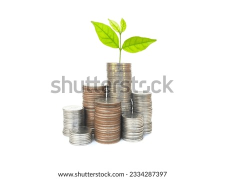 Plant growing on pile of coins lying on white background  The concept of savings, interest, investments and interesting business concepts.