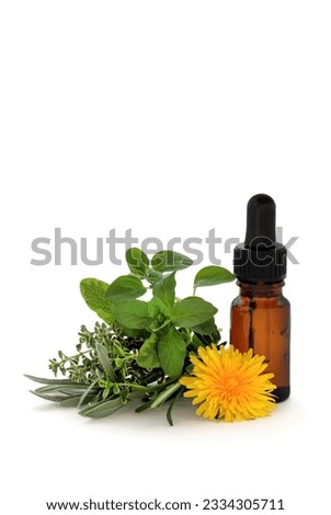 Herb leaf sprigs of lavender, sage, thyme and oregano with a dandelion flower and aromatherapy essential oil dropper bottle, over white background.