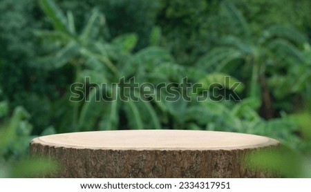 Wood tabletop counter podium floor in outdoors tropical garden forest blurred green blue leaf plant nature background.Natural product placement pedestal stand display,summer jungle paradise concept.