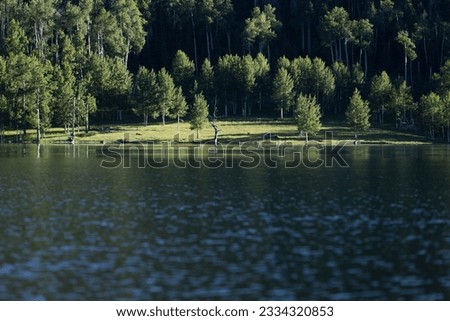 Lake with trees and sun reflection.